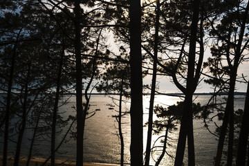 Fototapeta premium Bassin d'Arcachon