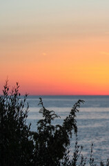 Sunset over the calm sea with silhouetted coastal vegetation in the foreground. Warm gradient sky fading from orange to blue. Peaceful nature scene and summer serenity concept.