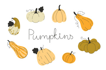 Autumn Pumpkins Illustration Flat Style Card Design