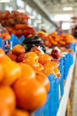 Organic vegetables. Healthy products from farmers market. Boxes with delicious fresh vegetables. Healthy food for diet. Various vegetables in baskets.