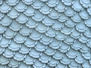 Close-up of White Naga Scales Texture Background Wat Don Yai 