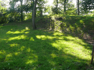 Urgeschichtlicher Wall auf dem Uitliberg
