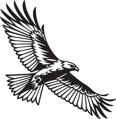 Falcon or eagle  flying silhouette