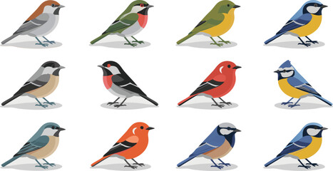 Fototapeta premium Illustration of Twelve Different Colorful Bird Species in a Row on White Background