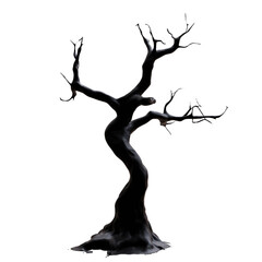 Dead tree silhouette isolated on white, transparent. Dry tree trunk and branches, draught, arid climate concept