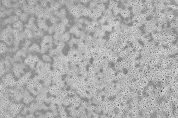 Soapy foam texture as abstract background, bubble pattern, wallpaper.