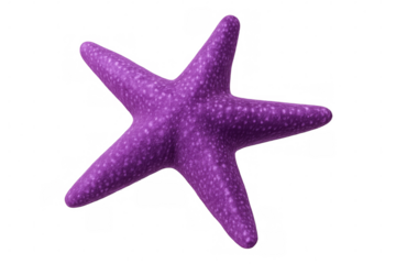Purple starfish 3d rendering featuring detailed surface texture, transparent backdrop