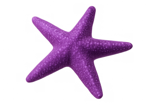 Purple starfish 3d rendering featuring detailed surface texture, transparent backdrop