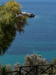 Crystal clear blue sea with trees in the foreground and a rocky islet in the distance perfect for tropical and coastal visuals.