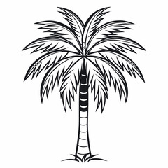 Obraz premium PLAM TREE VACTOR ART