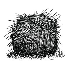 Bundle of Hay Cartoon Vector and Illustration in Black