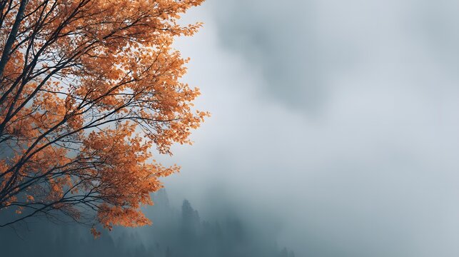 4k Misty landscape with fir forest in hipster vintage retro style wallpaper photography