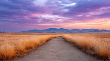 Serene dirt path winding through a picturesque green field, tranquil nature escape