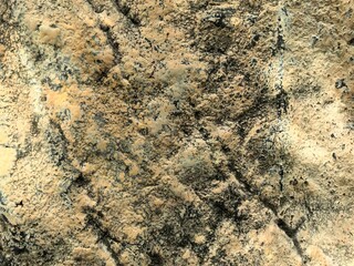 Textured Natural Rock Surface with Granular Patterns