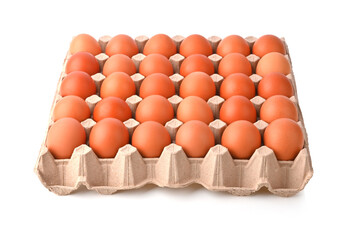 Chicken eggs in packaging , egg tray with fresh brown eggs isolated on white background