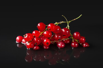 Red berries. Red currant. Close-up red berries on wet dark background. Selective focus