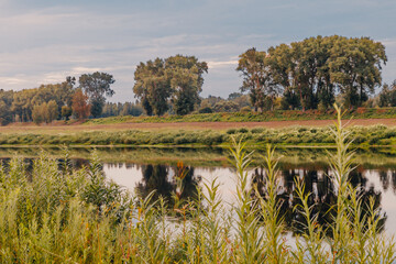 A beautiful river in a city area with aquatic plants, canes, reeds and trees on the shore