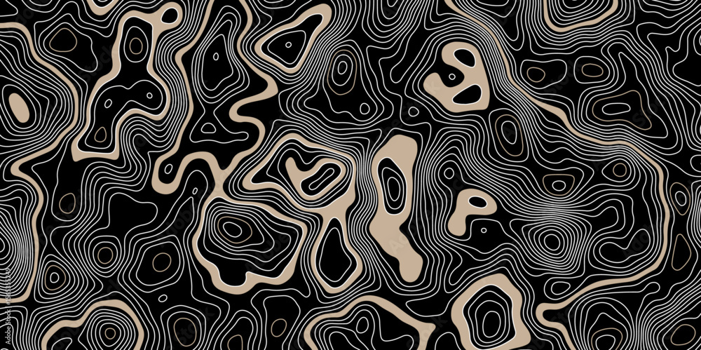 Poster black abstract topographic map with white contour lines design element for modern and minimal graphi