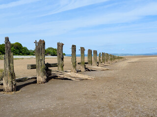 Weathered groynes on sandy beach