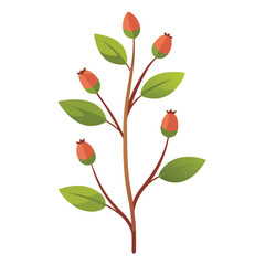 Flowers leaves  flat design on white background isolated