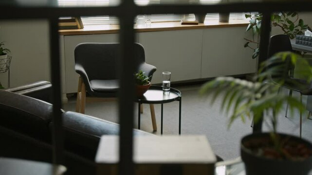 Background shot through shelving rack of cozy therapists office equipped with comfortable armchair and couch for psychotherapy sessions in room decorated with green plants