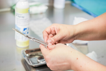 A close-up view of hands holding a polished metal medical tool, symbolizing precision and hygiene...