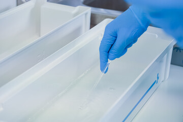 A professional in blue protective gloves uses a pipette to precisely transfer clear fluid into a laboratory container, highlighting scientific testing and meticulous work