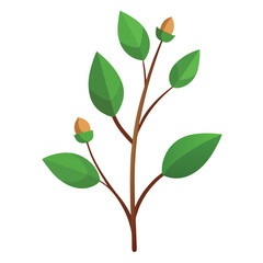 Flowers leaves  flat design on white background isolated