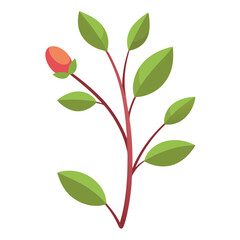 Flowers leaves  flat design on white background isolated