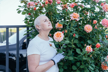 Senior woman enjoying roses after illness recovery
