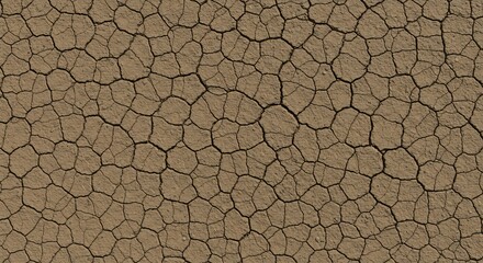 Closeup of dry cracked earth showing a pattern of irregular polygonal segments