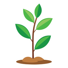 A green plant with a green leaf on it