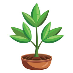 A green plant with a green leaf on it