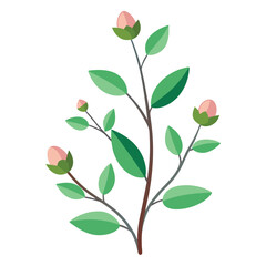 Flowers leaves  flat design on white background isolated