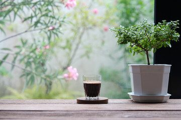 Coffee glass cup and potted plant on rustic wooden table