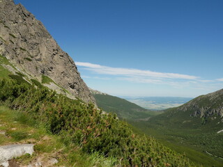 Fototapeta premium Mountain Valley View with Rocky Slope and Pine Shrubs under Clear Blue Sky