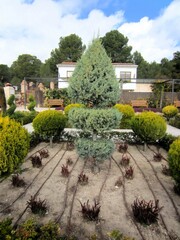 drip irrigation in landscaped garden