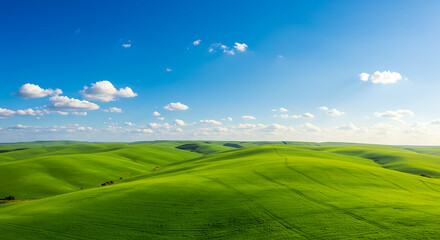 Obraz premium green field and blue sky with clouds