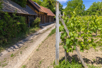 Traditional Wooden Wine Cellars near Kalnik, Croatia