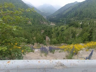 Scenic View of a Mountain Valley with Lush Greenery and Flowers