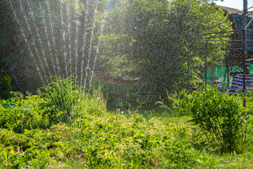 Automatic sprinkler watering lush green plants in a backyard garden on a sunny summer day,...