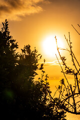 Atardecer en la Corujera, Isla de Tenerife.