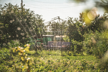 Automatic sprinkler watering lush green plants in a backyard garden on a sunny summer day,...