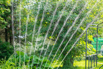 Automatic sprinkler watering lush green plants in a backyard garden on a sunny summer day, providing much needed hydration for healthy growth
