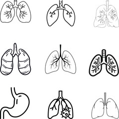 Lung Anatomy Icons – Respiratory System, Infection, and Bronchial Illustrations