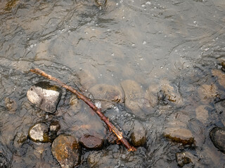 A stick resting on rocks in a small stream water