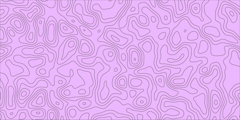 Geographic texture rendered through smooth curves

