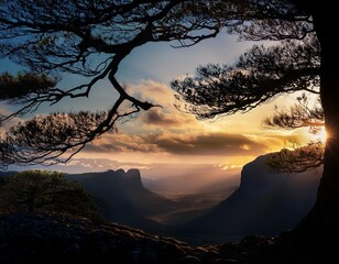 a dramatic landscape scene framed by the silhouette of a tree