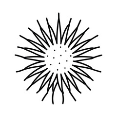 Obraz premium sea urchin line art illustration