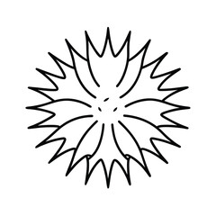 sea urchin line art illustration